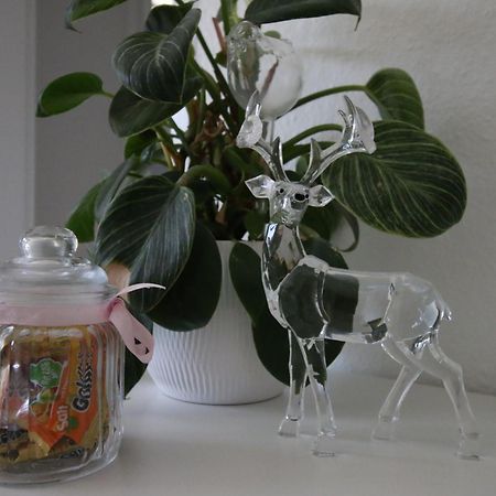 Appartement Haus Anna-Marie à Feldberg  Extérieur photo