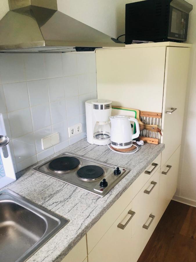 Appartement Haus Anna-Marie à Feldberg  Extérieur photo