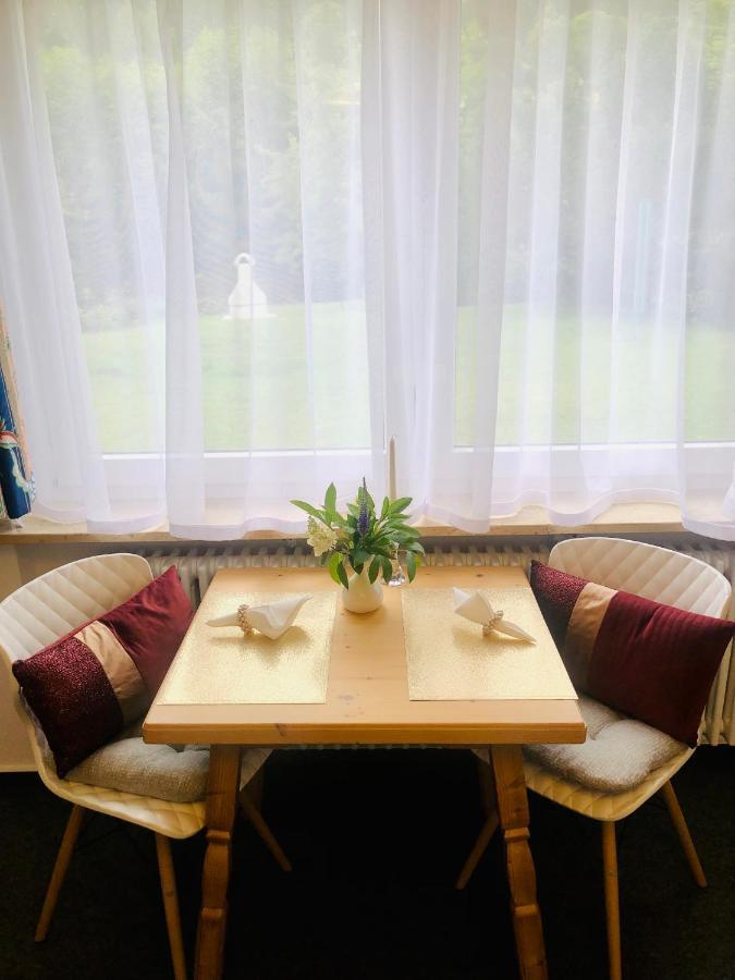 Appartement Haus Anna-Marie à Feldberg  Extérieur photo