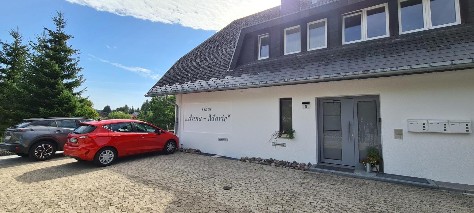 Appartement Haus Anna-Marie à Feldberg  Extérieur photo